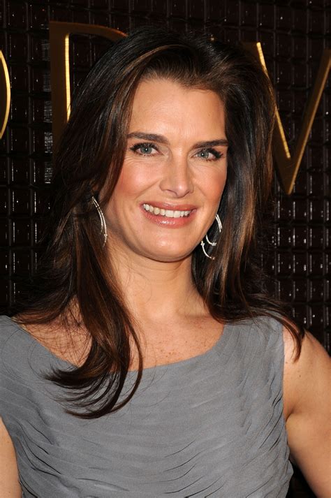Brooke Shields On The Future Of ‘lipstick Jungle ‘we Got The Most Out