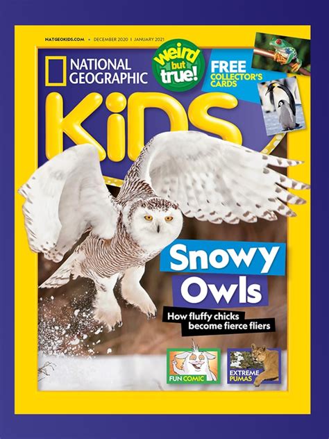 25 Magazines Your Kids Wont Put Down Teaching Expertise