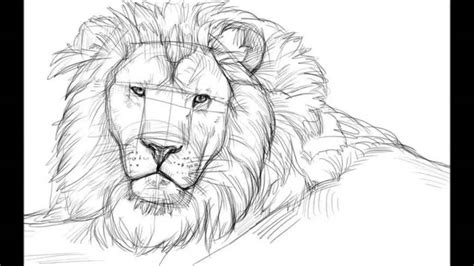 Lion is acknowledged as the king of the jungle. Simple Lion Face Drawing at PaintingValley.com | Explore ...