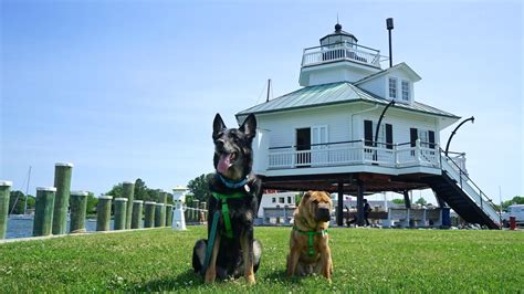 Dogtainers are australia's leading pet transport supplier and the preferred pet carrier of flight centre. Maryland's Top Pet Friendly Attraction: The Chesapeake Bay ...