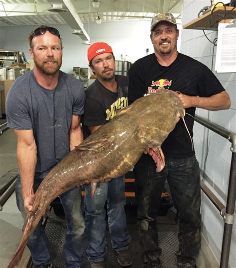Kansas City Fisherman Sets New State Record With Flathead Catfish