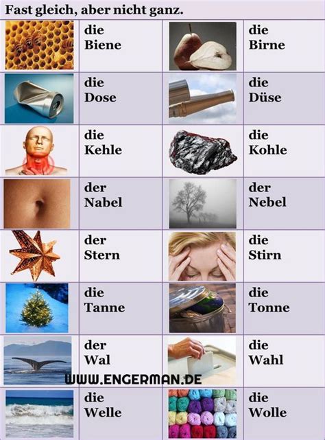 Pin Auf German Vocabulary Trainer
