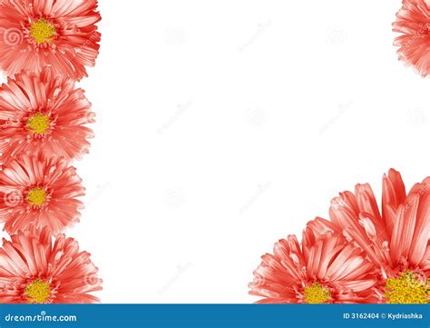 Abstract Flower Border Stock Images Image 3162404