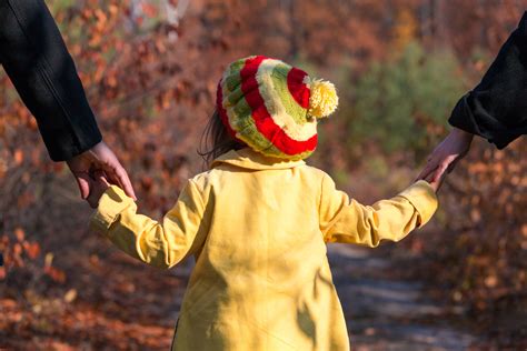 Co-Parenting Program (Parent Education and Custody ...