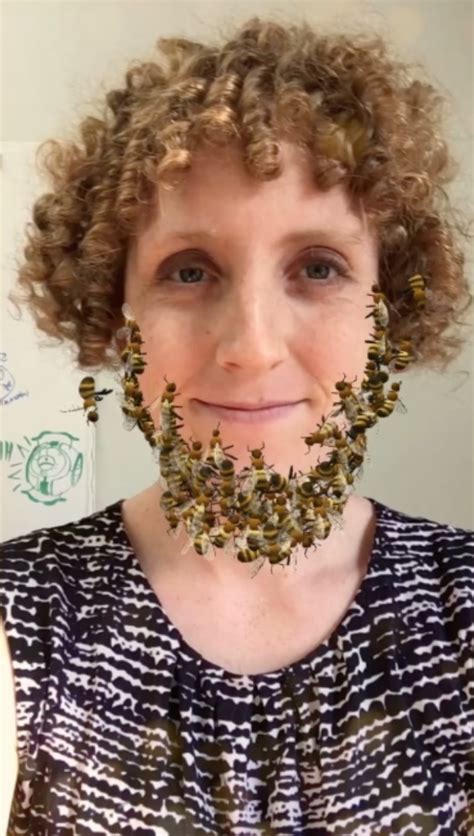 Building A Better Bee Beard Bare Tree Media