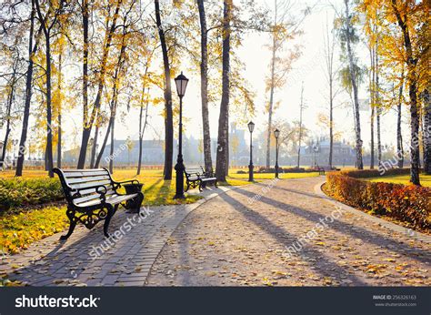 Beautiful Colorful Autumn Park In Sunny Day Stock Photo 256326163