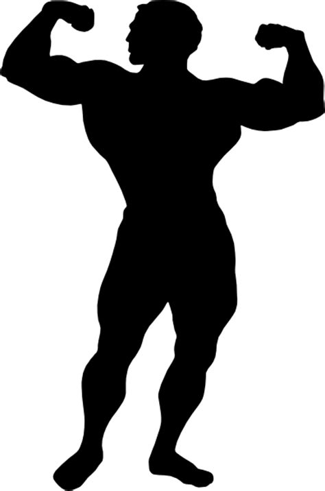 Muscle Clip Art At Vector Clip Art Online Royalty Free