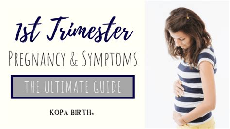 First Trimester Pregnancy And Symptoms The Ultimate Guide • Kopa Birth®