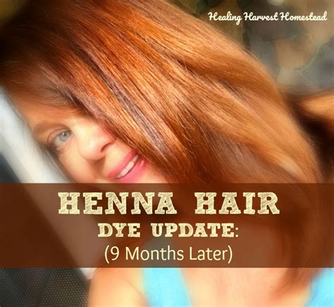 How To Dye Your Hair Naturally With Henna Plus An Update