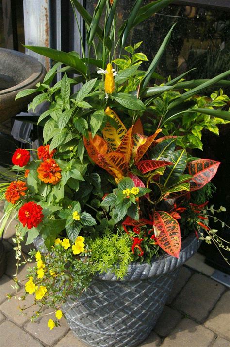 Check spelling or type a new query. Pin van Debbie Nix op Flowers/Herbs/Plants