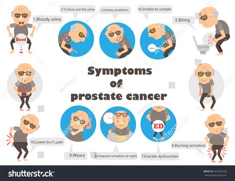 Symptoms Prostate Cancer Infographic Vector Illustration Shutterstock