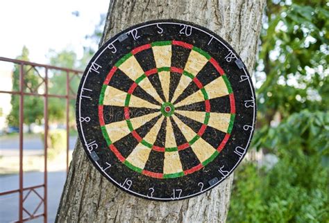 Dartboard On Tree Dart In Center Of Target Stock Photo Image Of