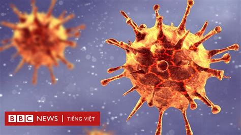 Hiện nay kế hoạch về hộ chiếu vaccine vẫn đang được xem xét và đánh giá, nhất là khi hiện tại số lượng vaccine vẫn chưa đáp ứng được với nhu cầu trong nước. Covid-19: Vaccine Moderna 'chống được các biến chủng mới ...
