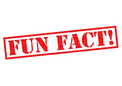 Interesting Facts About Upper Macungie Spring Creek Apartments