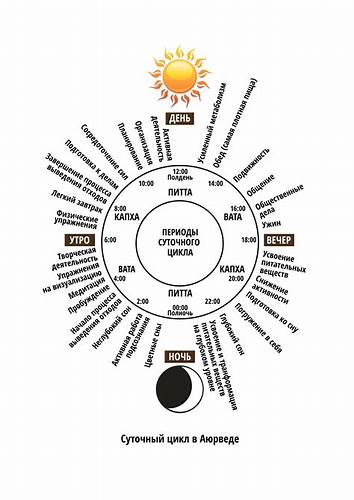 Аюрведа диета для вата Диета Йога Вата — Похудение Диета Правильное Питание Диета Йога Вата — Похудение Диета Правильное Питание Аюрведа диета для вата