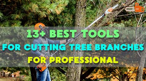 13 Best Tools For Cutting Tree Branches For Professional