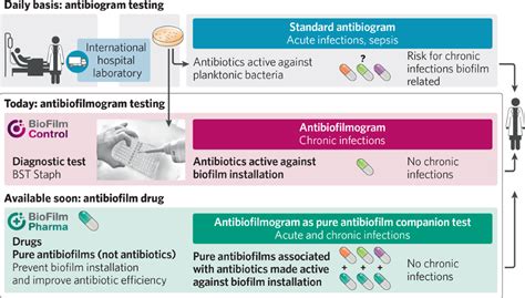 Breaking Through The Matrix Of Antibiotic Resistance