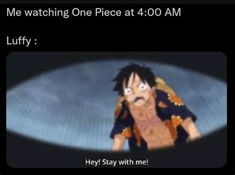 Naw ₍ᐢᐢ₎ On Twitter Rt Dailyopmemes Anime One Piece
