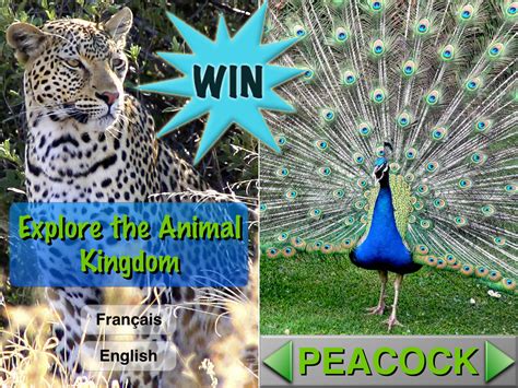 A Chance To Win An Explore The Animal Kingdom (Universal) Promo Code