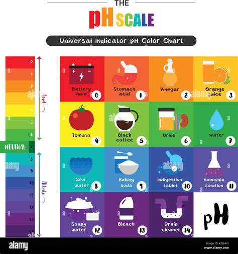La Escala De Ph Indicador Universal De Ph Cido Diagrama De Color Valores Comunes De Sustancias