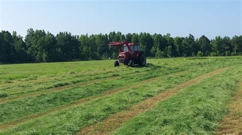 Timing Is Everything When Making Hay Uga Forage Extension Team