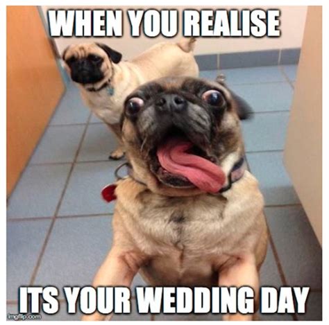 21 Awesome Memes On Wedding That Will Make You Laugh Music Raiser