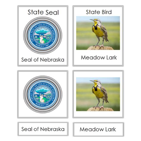 Nebraska State Symbol 3 Part Cards Montessori