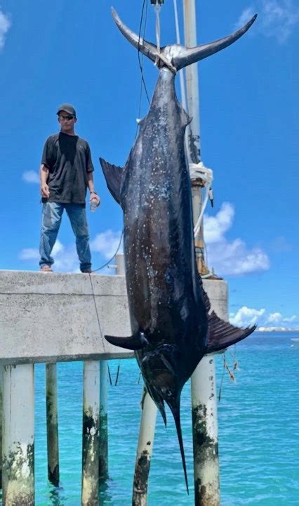 Angler Lands 946 Pound Marlin By Himself For Historic Catch