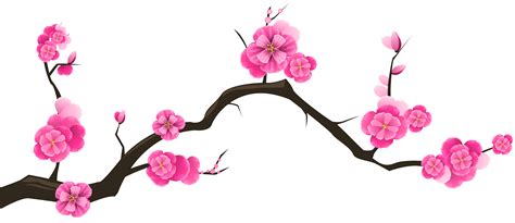 Cherry Blossom Clipart At Getdrawings Free Download