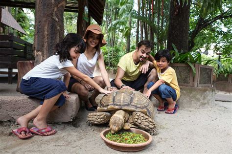 Wildlife park @ sunway lagoon is an interactive and educational zoo featuring exotic, small, and friendly animals from a range of birds, reptiles, and mammals. Wildlife Park - Sunway Lagoon Theme Park Malaysia Zoo