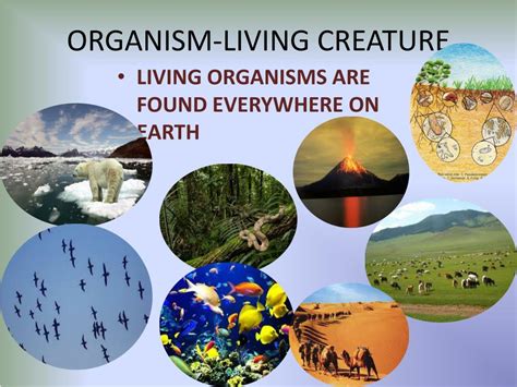 Ppt Living Organisms And Their Surroundings Powerpoint