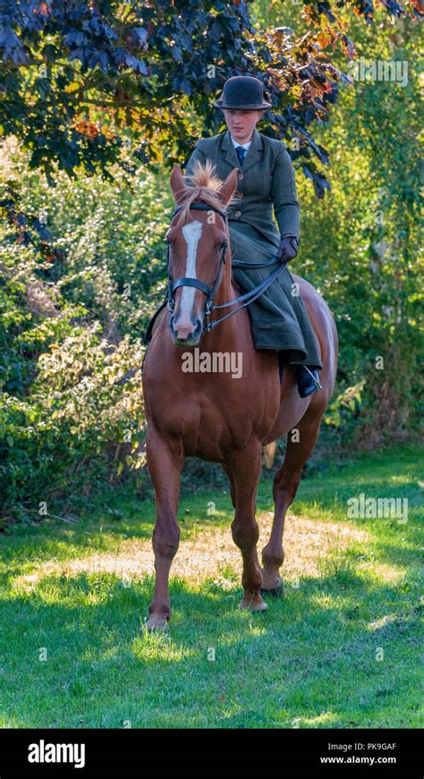An Elegent Young Lady Riding In A Traditional Side Saddle Wearing