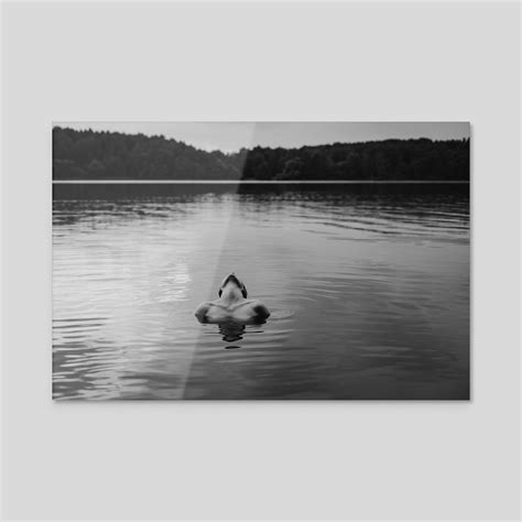 Black And White Photo Of A Naked Girl In The Lake An Art Print By Kseniya Lokotko Inprnt