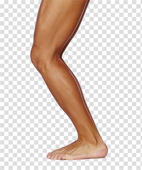 Free Thigh Cliparts Download Free Thigh Cliparts Png Images Free