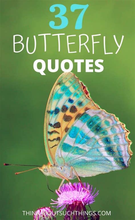37 Inspirational Butterfly Quotes To Lift Up Your Day Think About