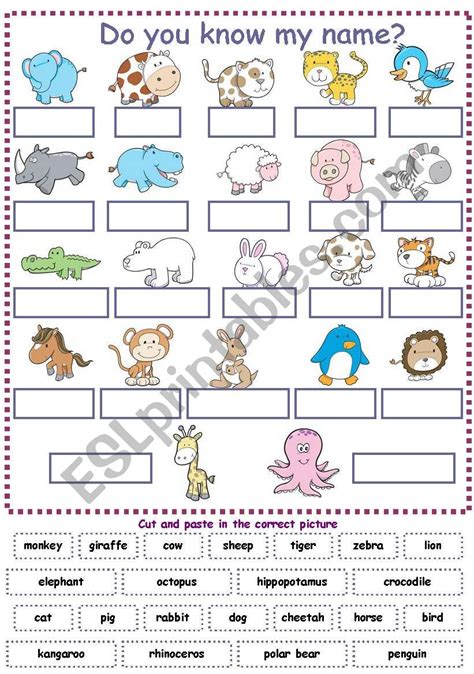 Animals Vocabulary For Kids Cut And Paste Exercise Esl Worksheet By