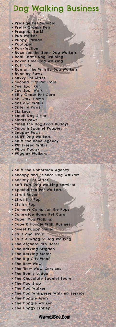 200 Creative Dog Walking Business Names Ideas Dog Walking Business