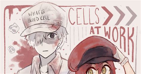 Cells At Work Red Blood Cell White Blood Cell Cells At Work