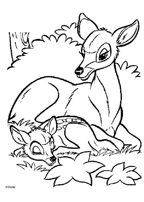 Aprendiendo a crecer...: IMAGENES PARA COLOREAR...