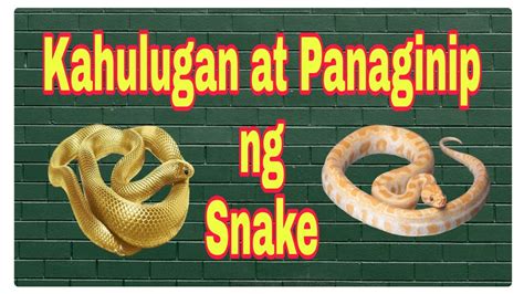 Panaginip At Kahulugan Ng Ahas Snake Dreams Meaning Youtube