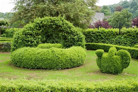 Topiary Shrubs Topiary Gardens Garden Gateways Designs