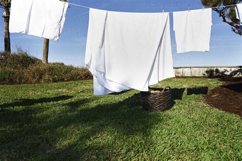 White Clothes Drying On Clothesline At Backyard Stock Photo