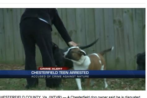 Chesterfield Teen Caught Having Sex With Dog We Wish We