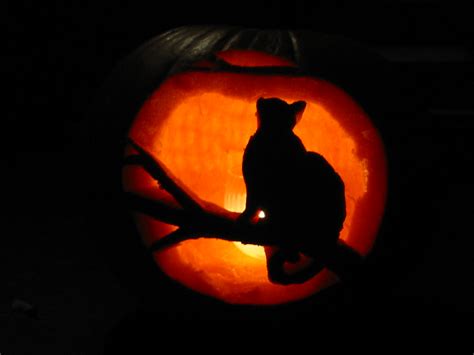 Cat Jack O Lantern 2002 150 Alvin Callender Steve Flickr