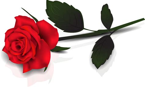 Long Stem Rose Clip Art Free Cliparts Download Images On Clipground