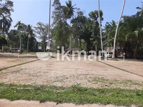 Highly Valuable Land For Sale In Panadura Ikman