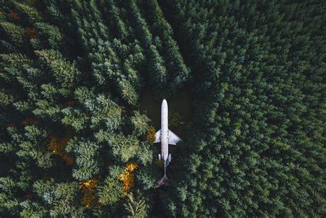 2996431 Nature Landscape Airplane Wreck Forest Trees Drone Aerial