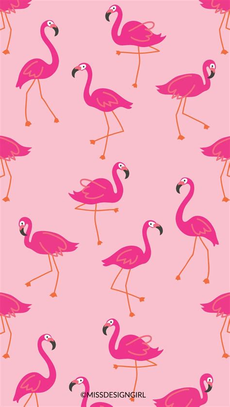 Pin By Catalina On Sub Flamingo Wallpaper Pink Flamingo Wallpaper