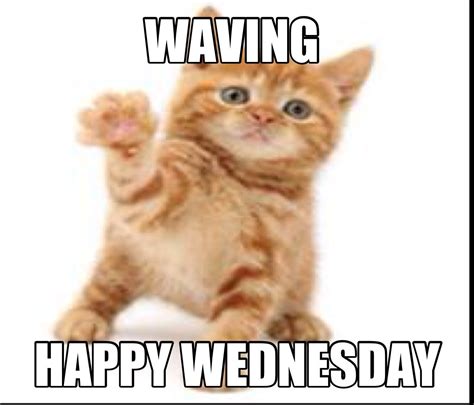 Happy Wednesday Funny Wednesday Memes Happy Wednesday Quotes