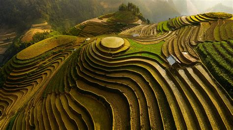 Mu Cang Chai Rice Terraces Backiee